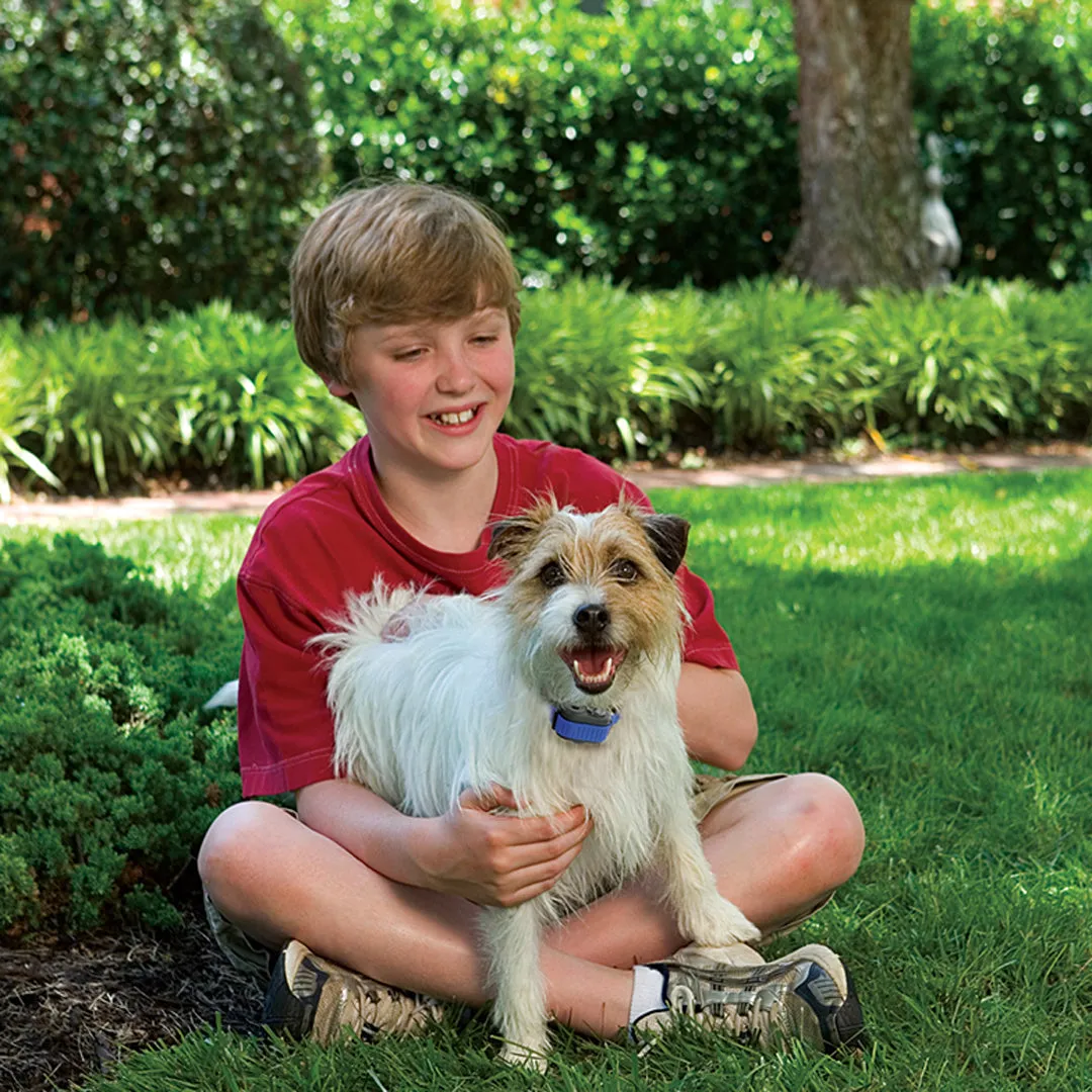 Elite Little Dog Spray Bark Control
