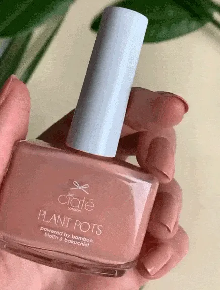 Plant Pots - Sweet Blush