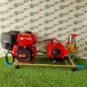 Portable High Pressure Sprayer
